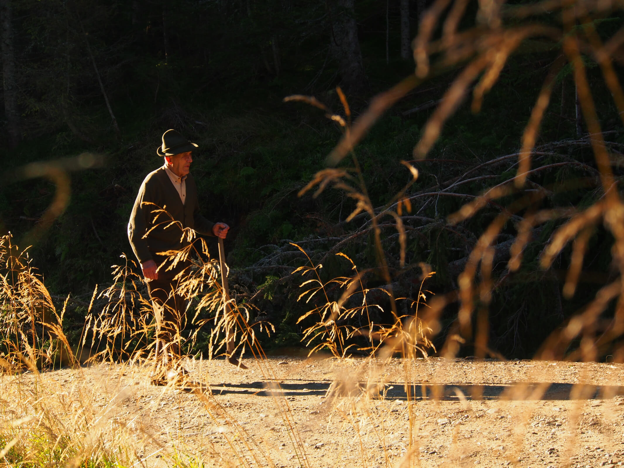 Mein Vater, der in der Dämmerung langsam mit einem Holzstock einen Waldweg hinaufgeht, halb verschluckt von Schatten und hohen, trockenen Gräsern.
