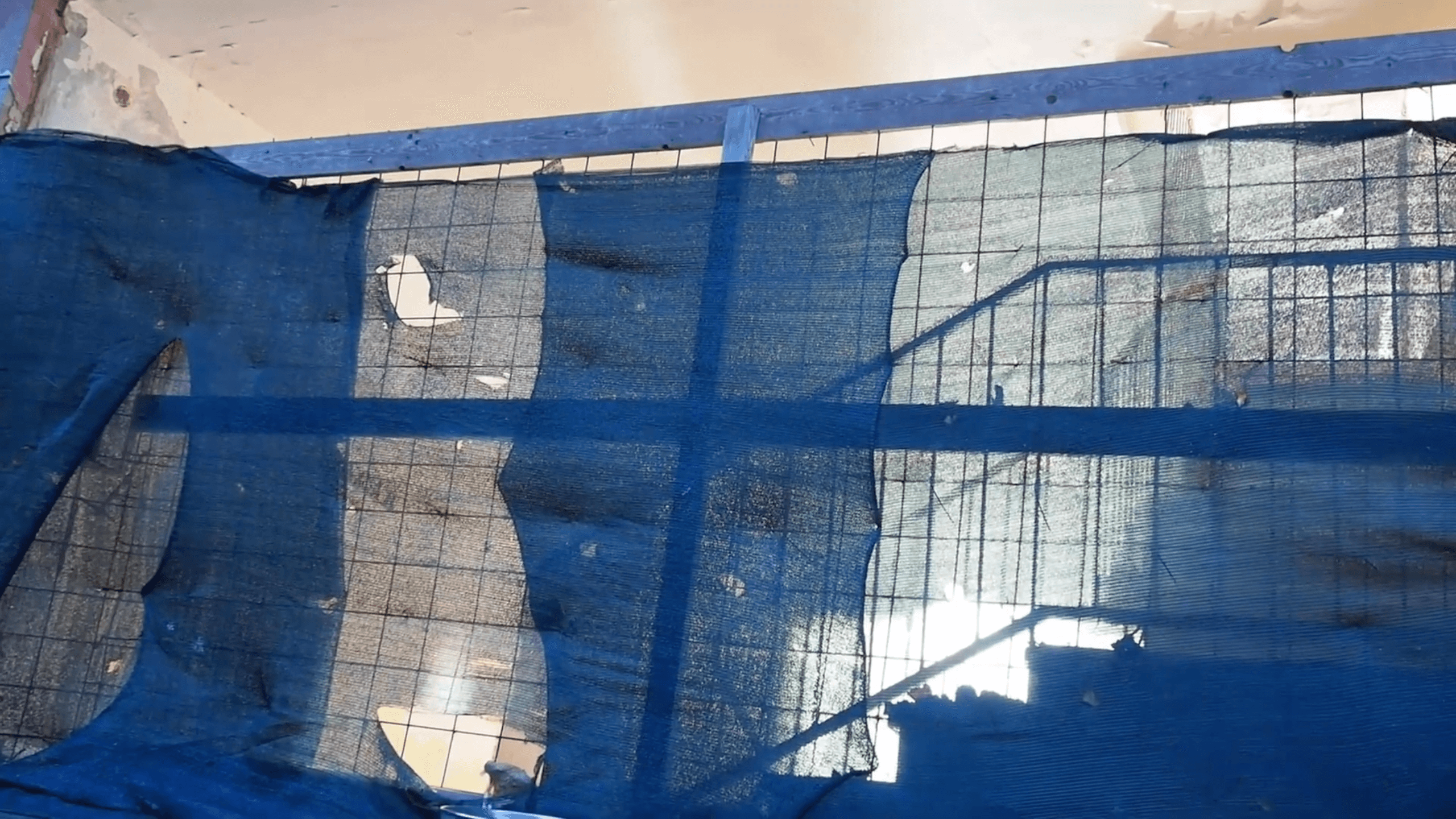 Poster für Day by Day